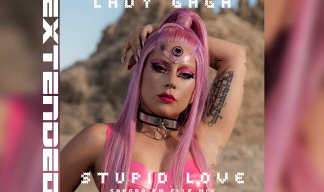 Lady Gaga - Stupid Love [Sakgra PW Elle Extended Mix]