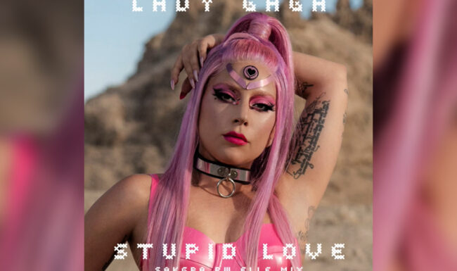 Lady Gaga - Stupid Love [Sakgra PW Elle Mix]