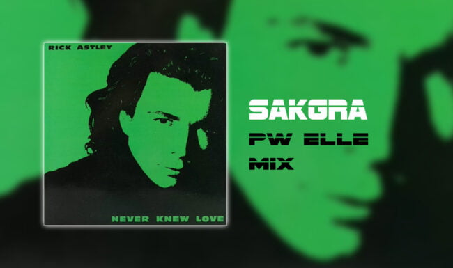 Rick Astley - Never Knew Love [Sakgra PW Elle Mix]