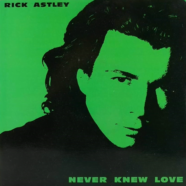 Never Knew Love by Rick Astley