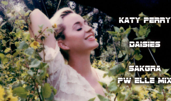 Katy Perry - Daisies [Sakgra PW Elle Mix]