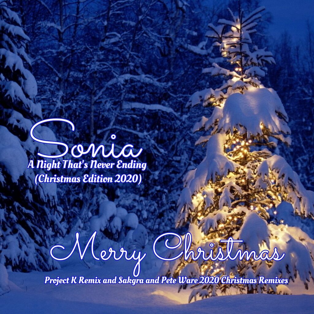 A Night That's never Ending Christmas Edition 2020 features the Sakgra Xmas 2020 Edit and Sakgra Christmas Cracker Remix