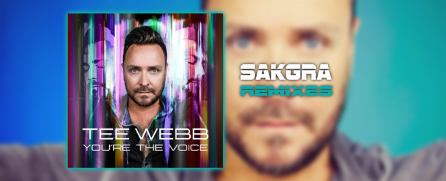 You're the Voice [Sakgra Remixes]