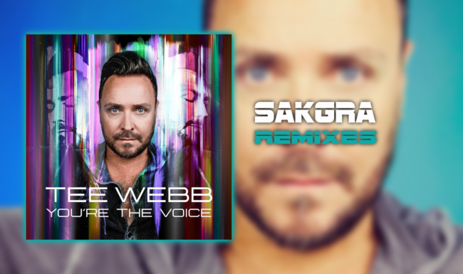 You're the Voice [Sakgra Remixes]